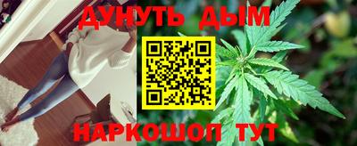 гашик Сланцы