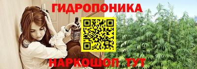 гидра Славгород