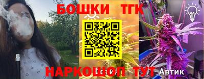 гашик Сланцы